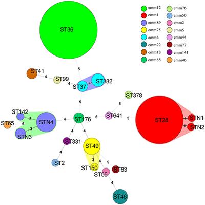 High Prevalence of Macrolide-resistance and Molecular Characterization of Streptococcus pyogenes Isolates Circulating in China from 2009 to 2016